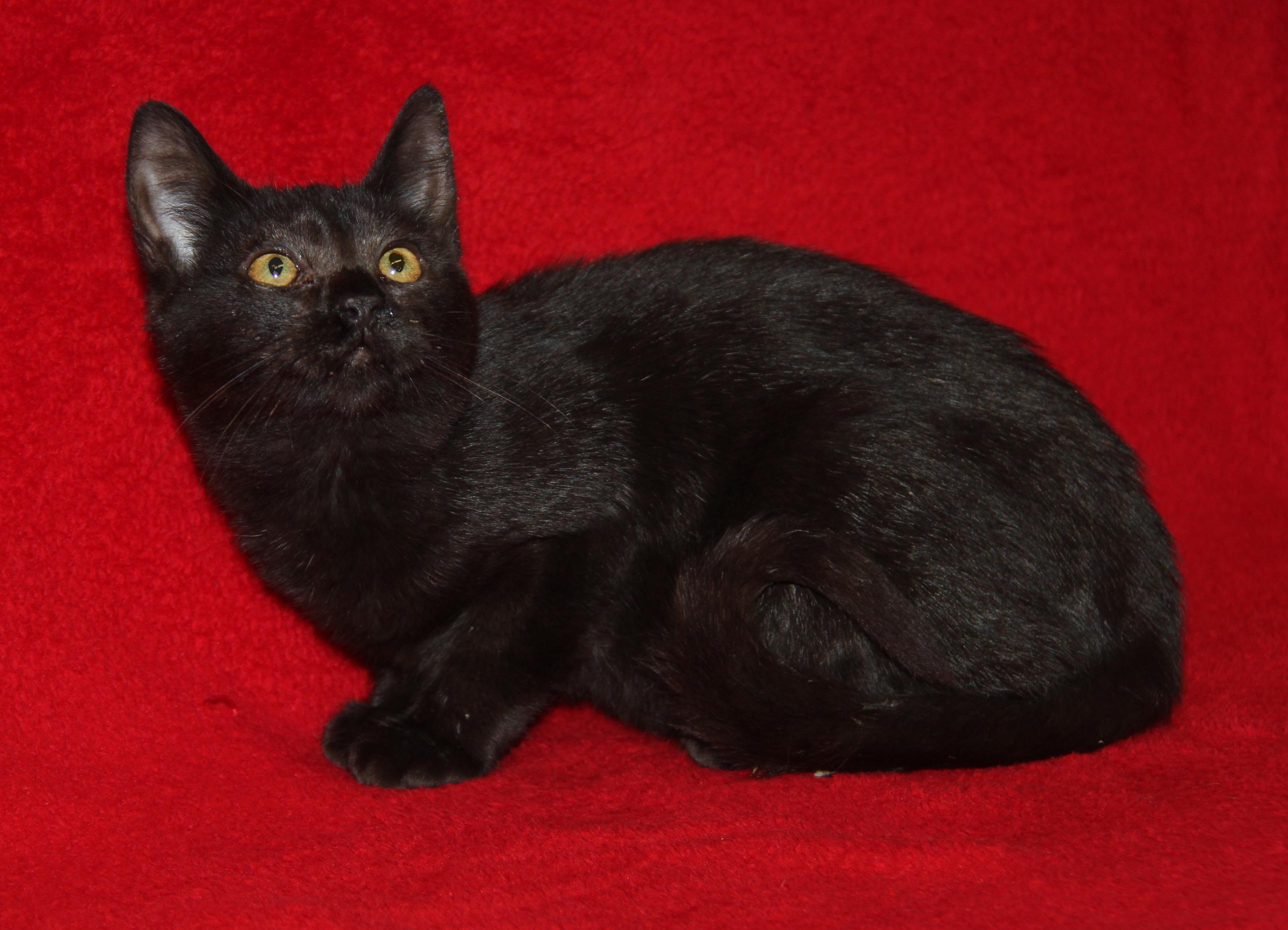 Jackie (Photos 10/8/2025)