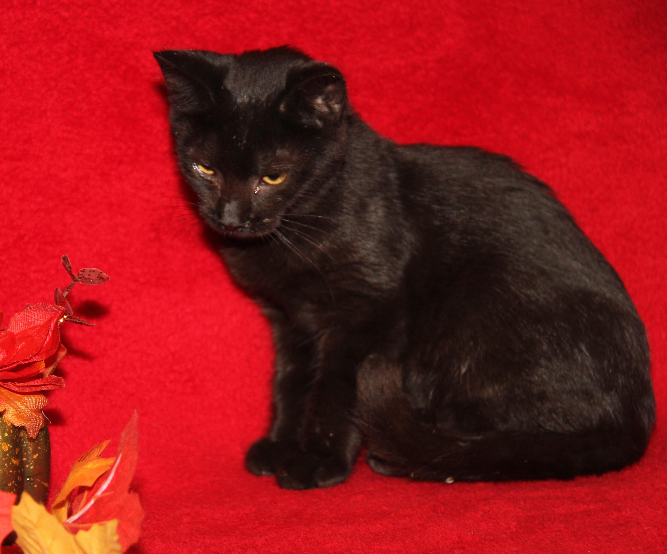 Jackie (Photos 10/8/2025)