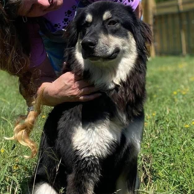 Benson James Bone PC