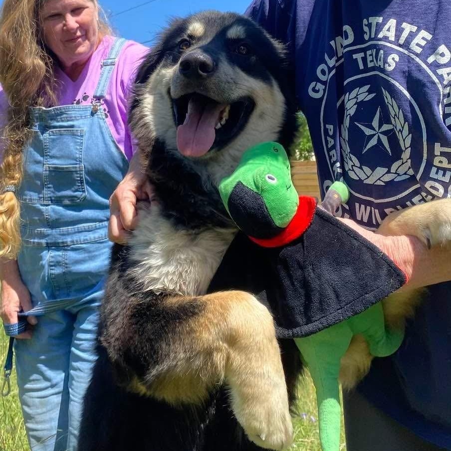 Benson James Bone PC