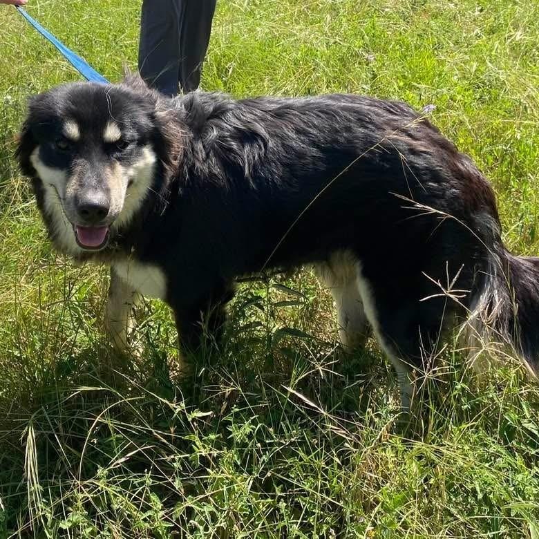 Benson James Bone PC