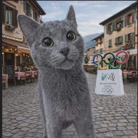 MILAN - FFPR, adopted, Kitten Female Russian Blue.