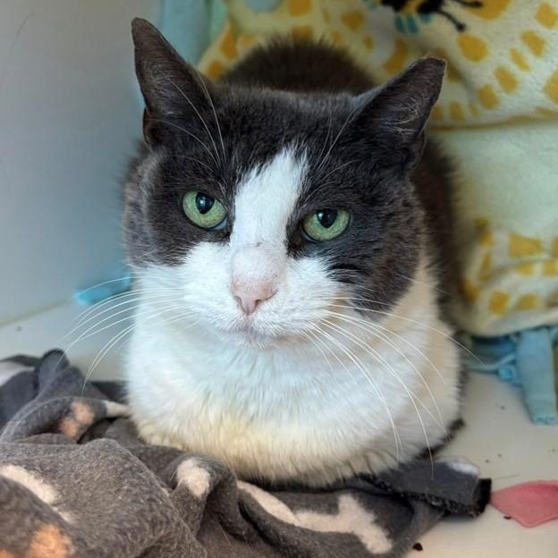 Tina (ID 48152/3936)