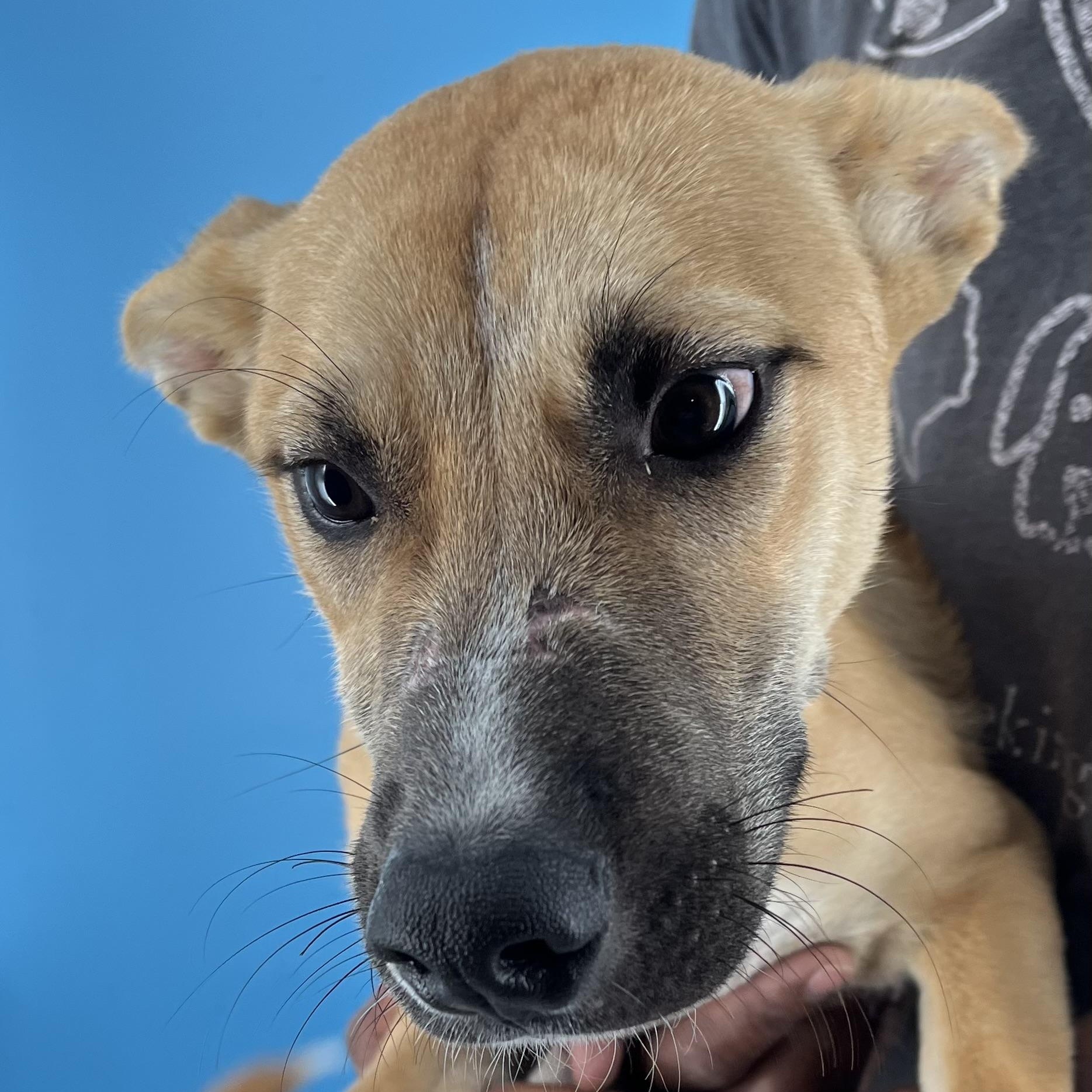 Ash - Local Sept 26-28