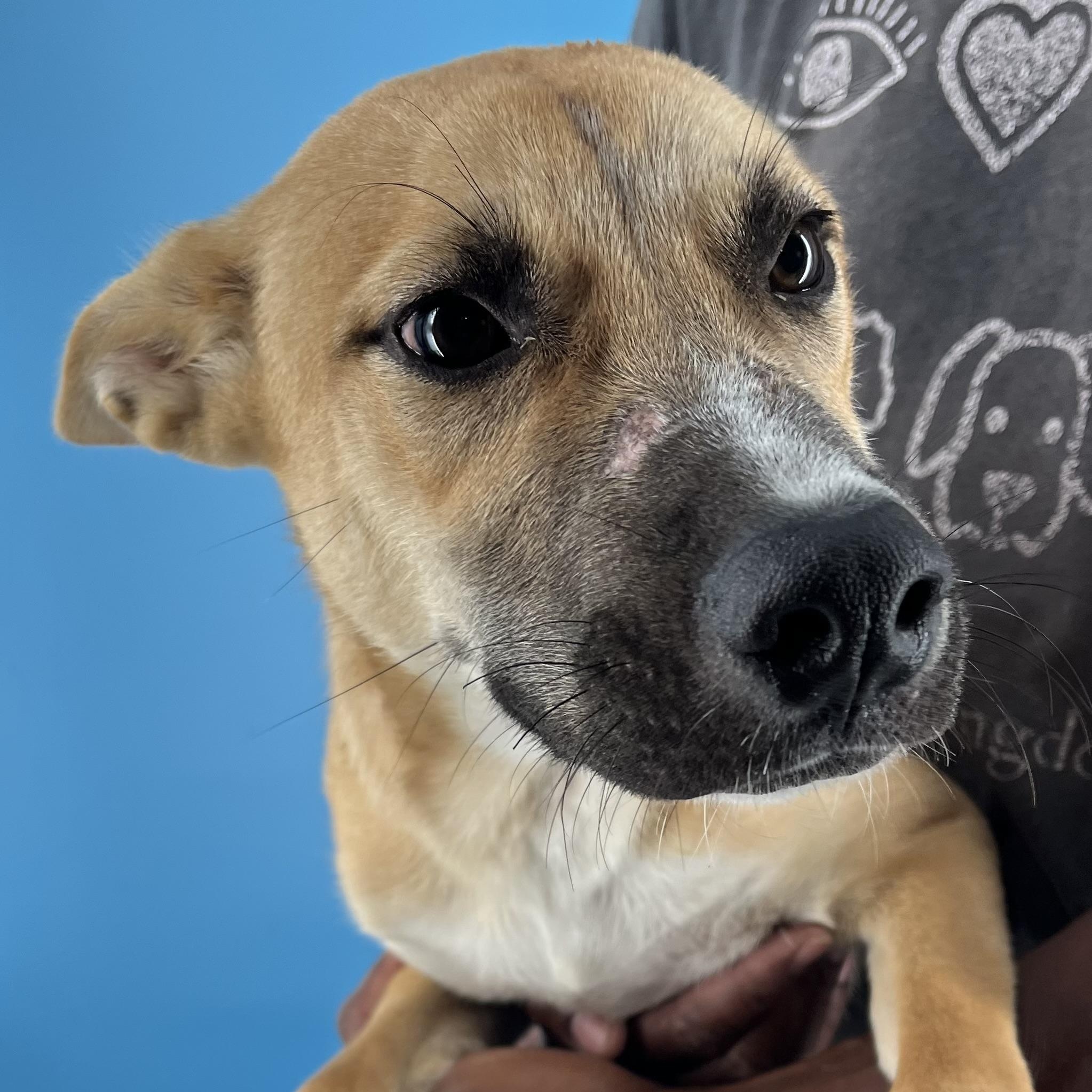 Ash - Local Sept 26-28