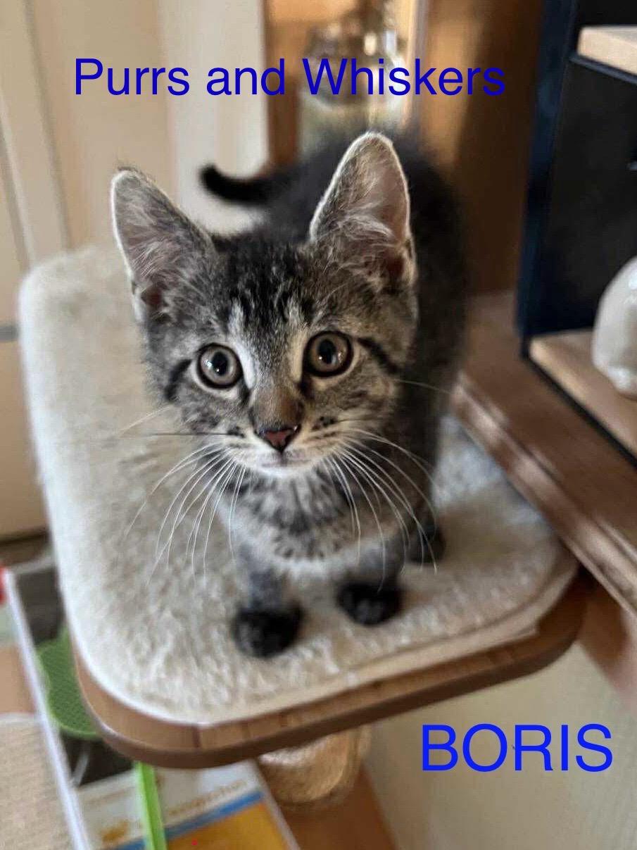 Boris 2