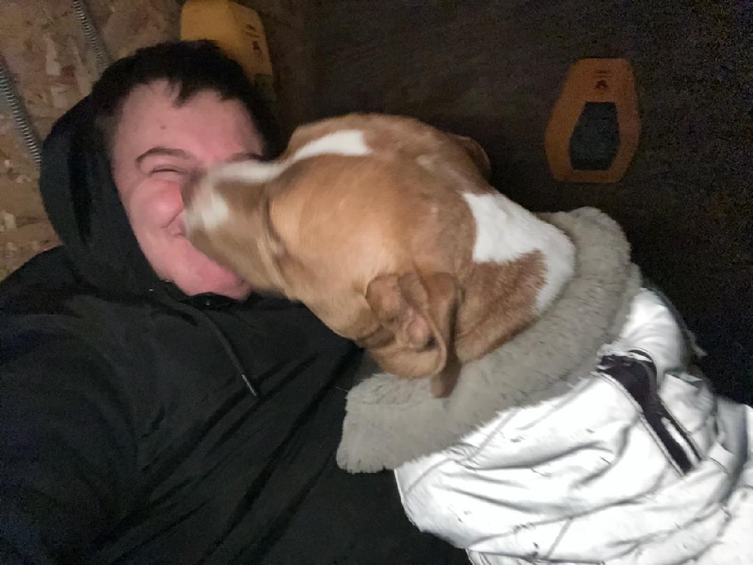 Enlarge Emma, a ADOPTABLE mixed breed in Oregon, WI image 4/6