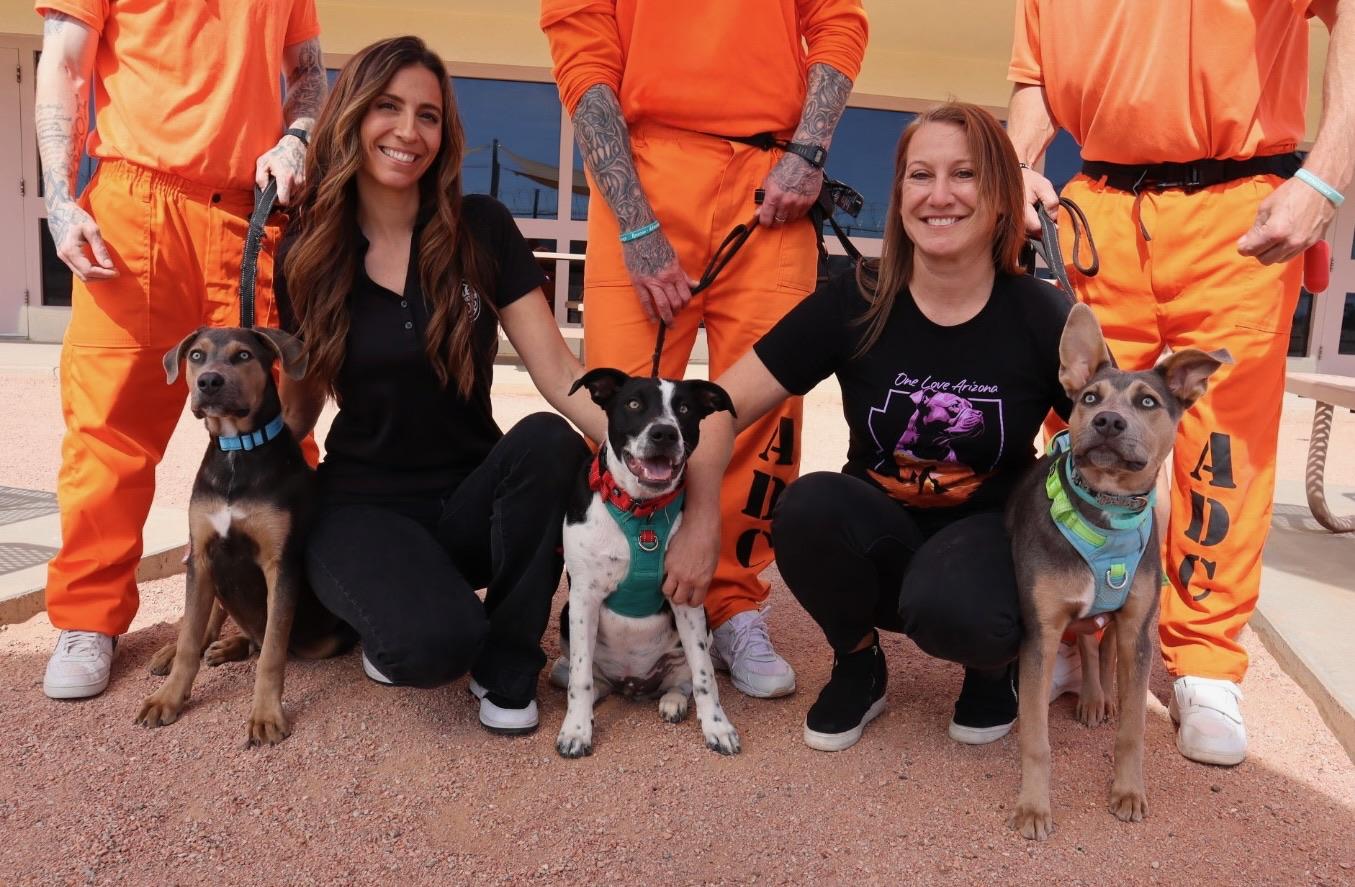 Enlarge River, a Adoptable mixed breed in Chandler, AZ image 4/5