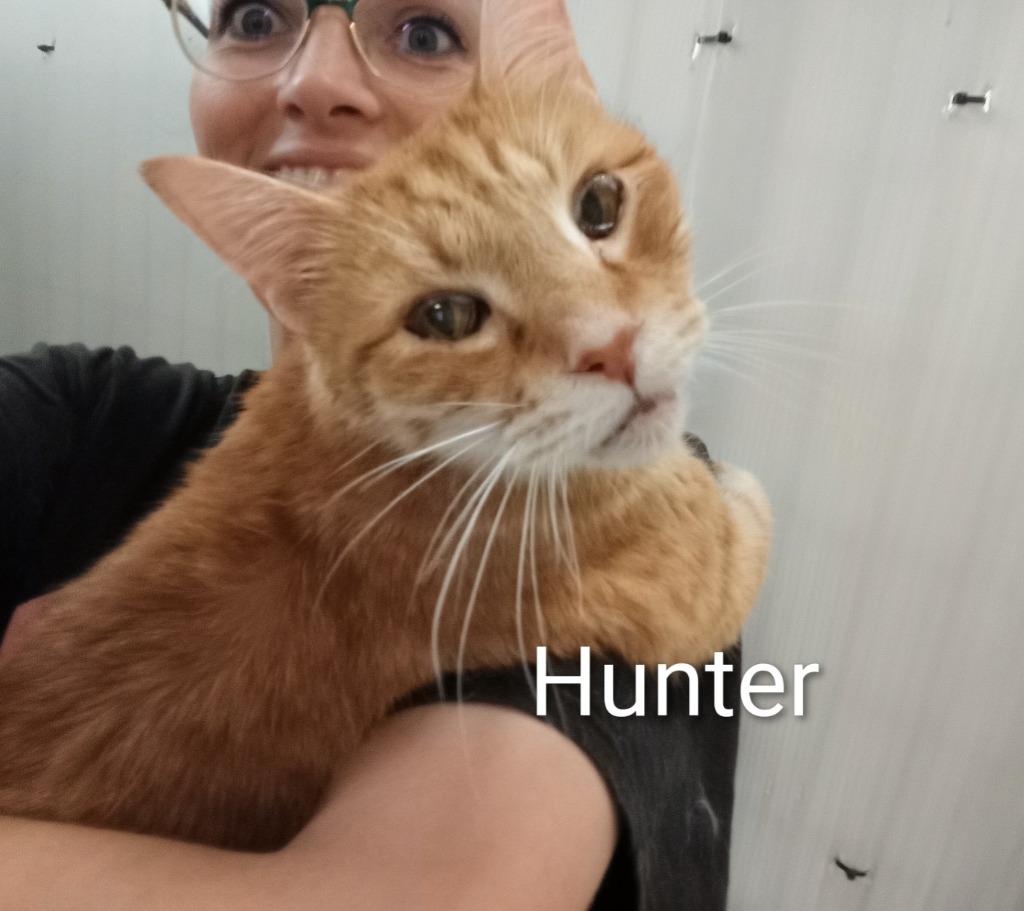 Enlarge Hunter (Fee Sponsored), a Adoptable mixed breed in Saint James, MN image 4/5