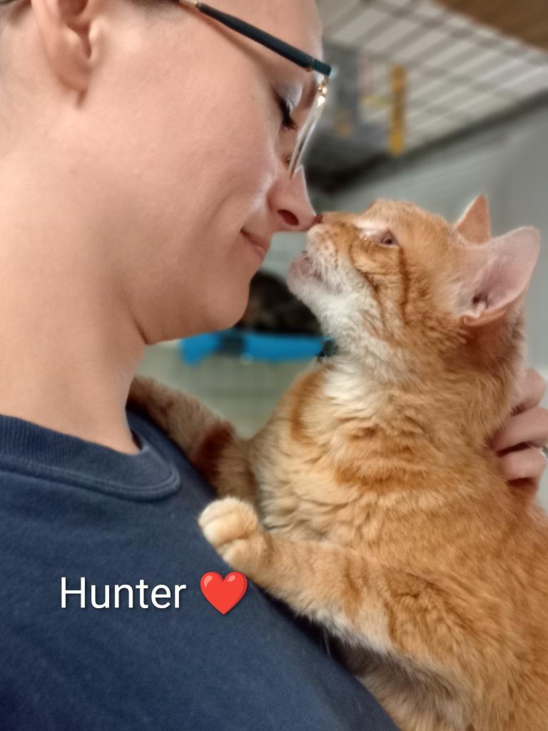Enlarge Hunter (Fee Sponsored), a Adoptable mixed breed in Saint James, MN image 5/5