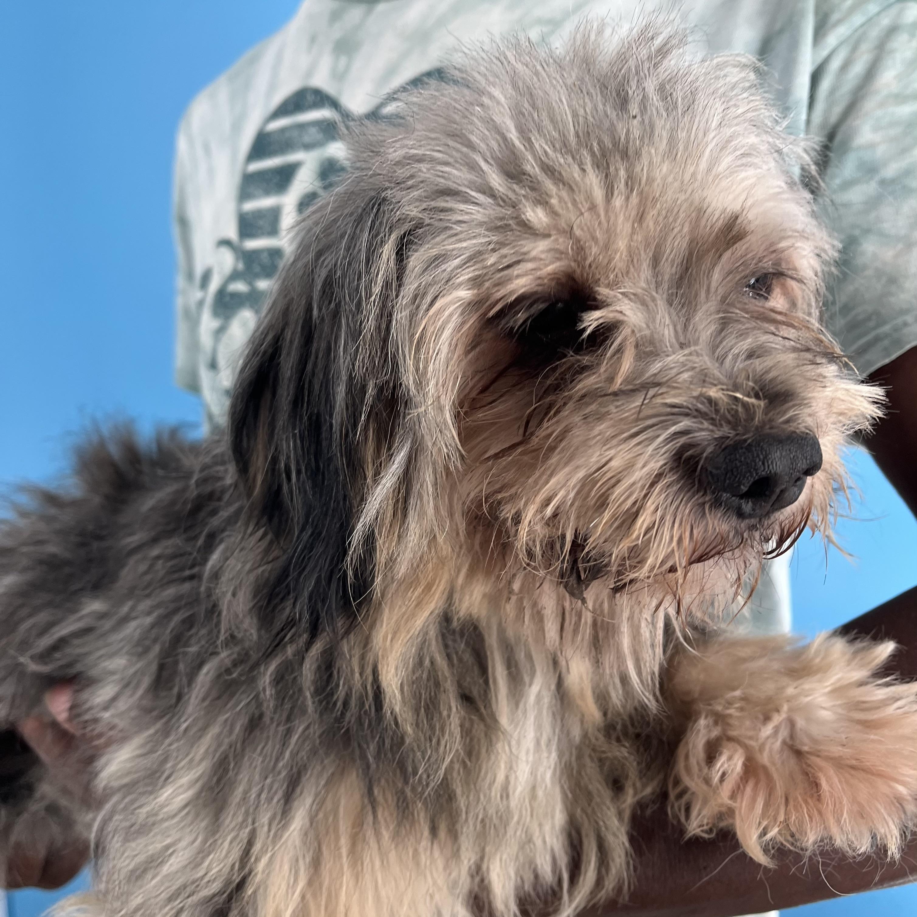 Frankie - Local Sept 26-28