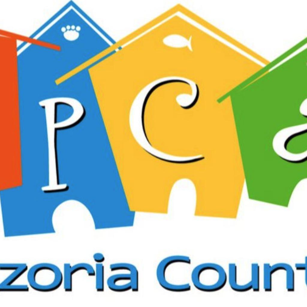 Amigo — thumbnail 2