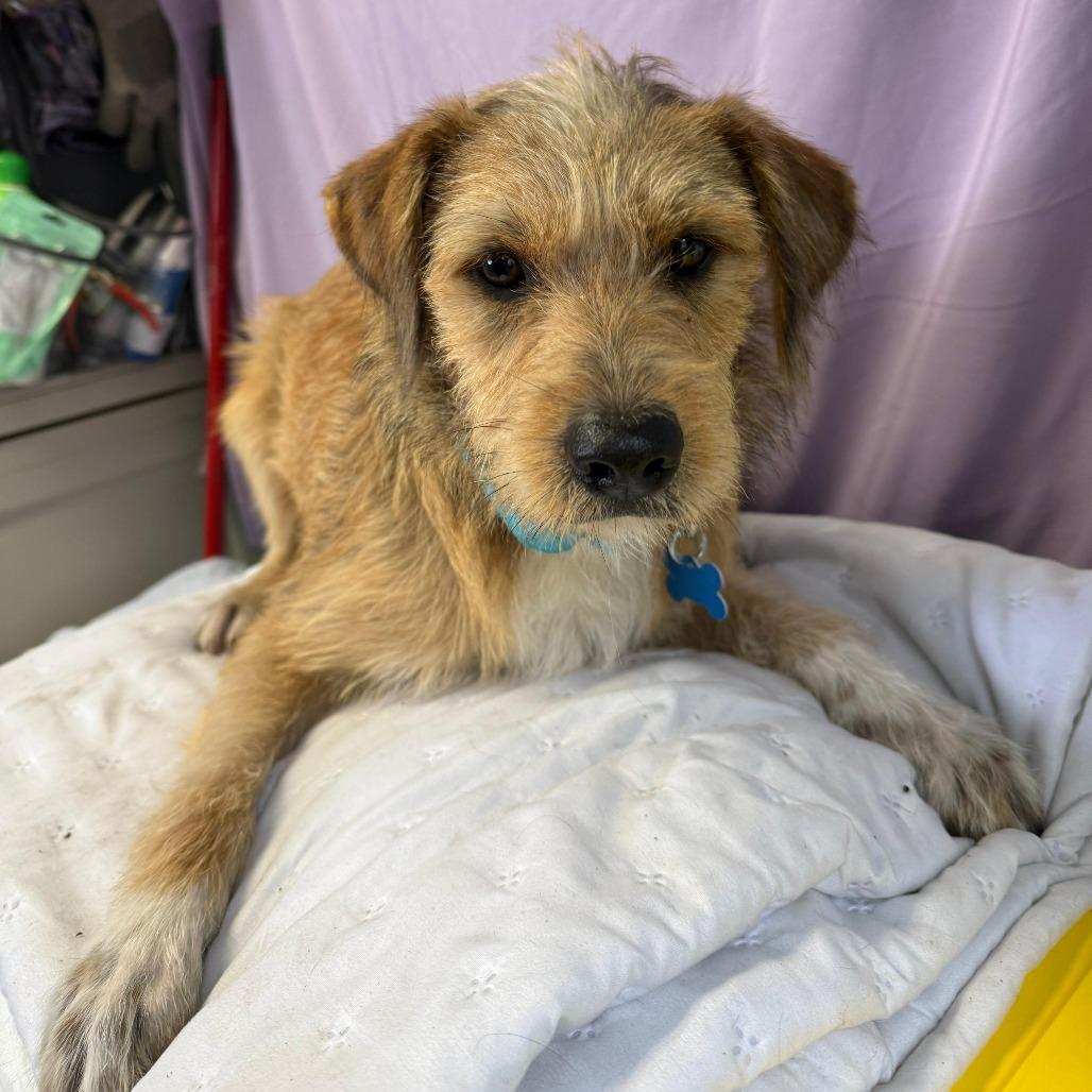 Handsome thumbnail 2