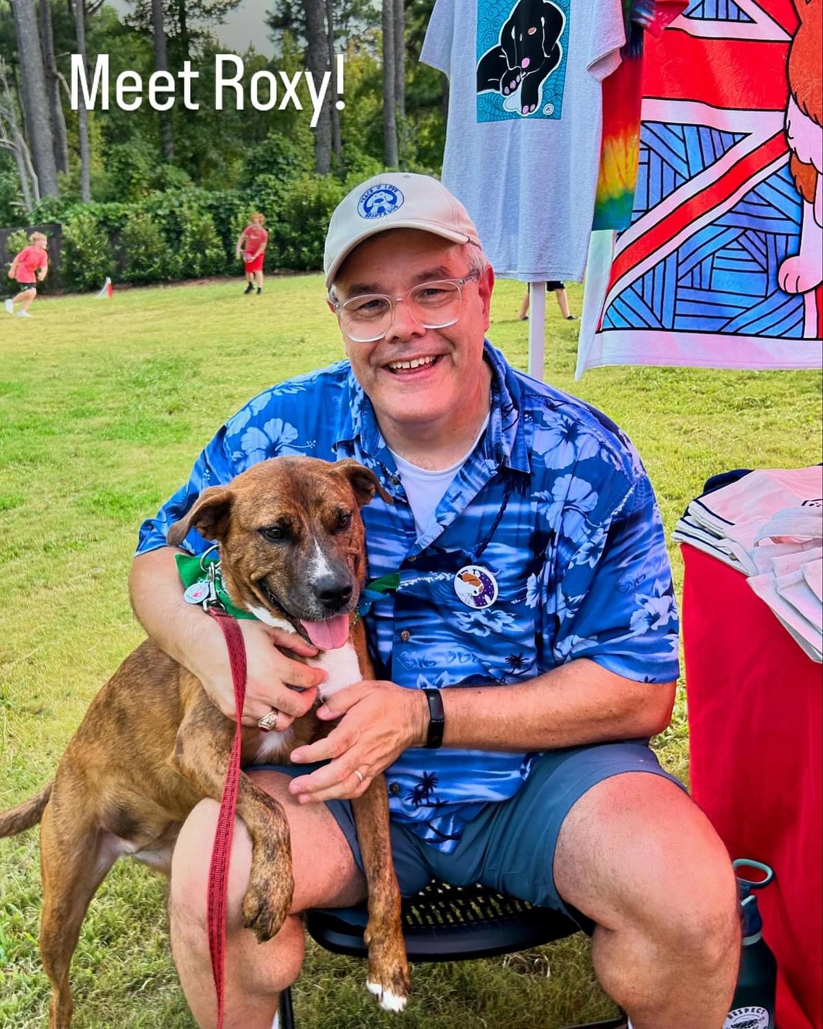 Enlarge Roxy, a Adoptable mixed breed in Raleigh , NC image 15/17