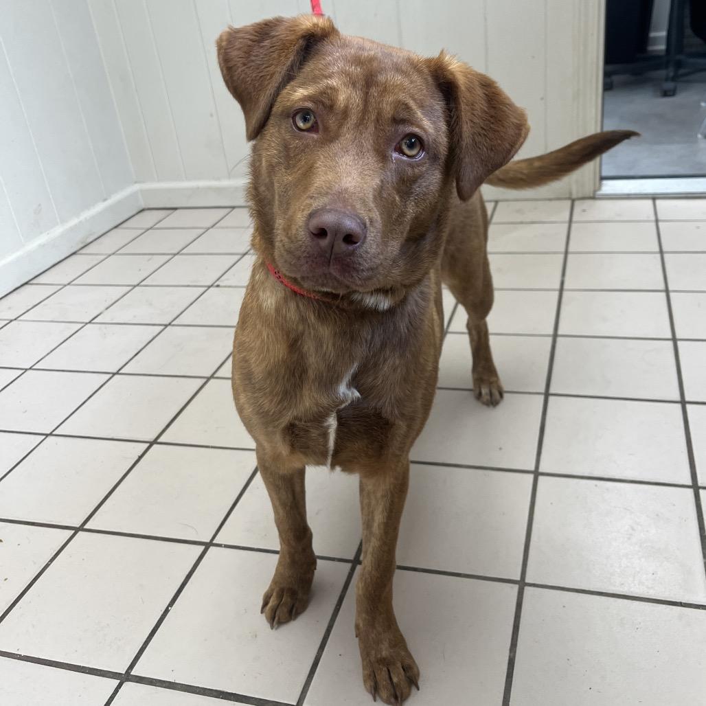 Pinky (One-Eyed Willow) — thumbnail 2