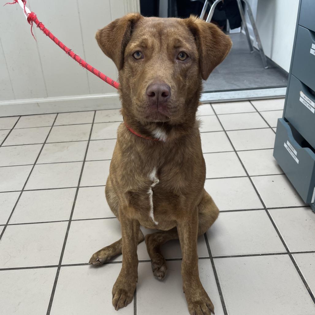 Pinky (One-Eyed Willow) — thumbnail 3