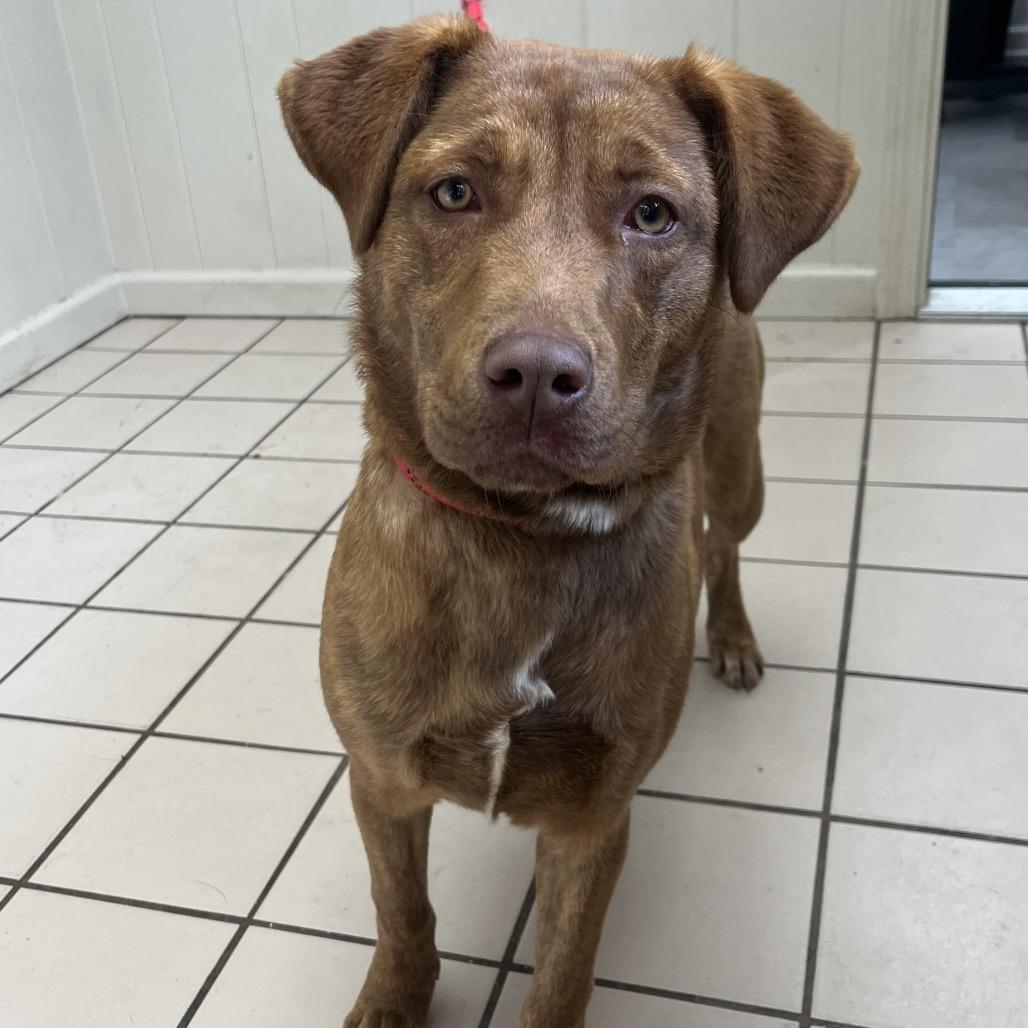 Pinky (One-Eyed Willow) — thumbnail 4