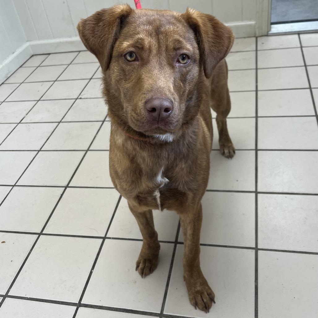 Pinky (One-Eyed Willow) — thumbnail 5