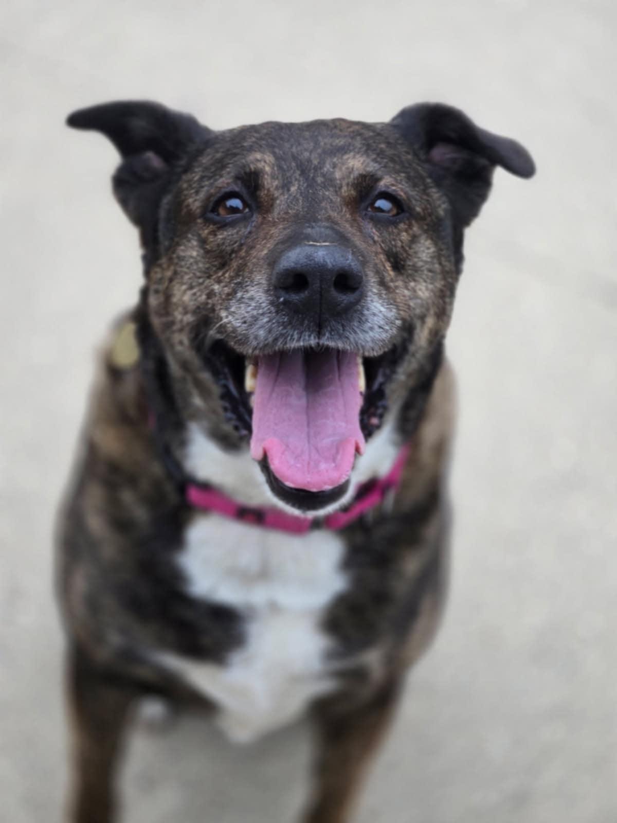 Sadie