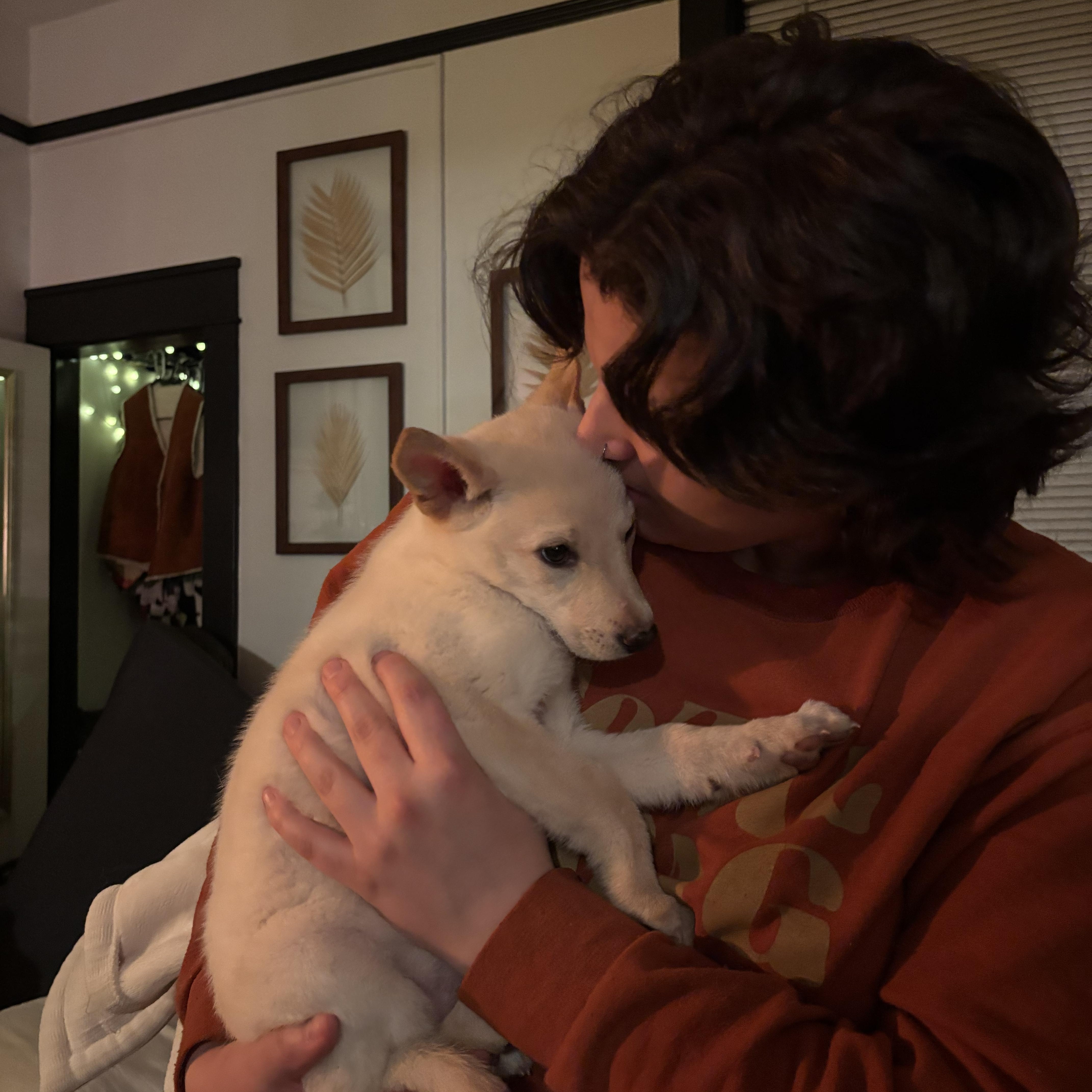 Enlarge Bambi, an adopted mixed breed in Sioux Falls, SD image 4/6