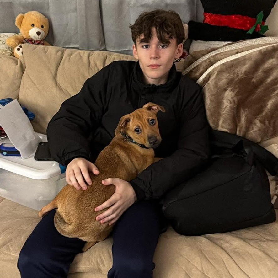 Cafe, a Adoptable mixed breed in Warren, NJ image 3/6