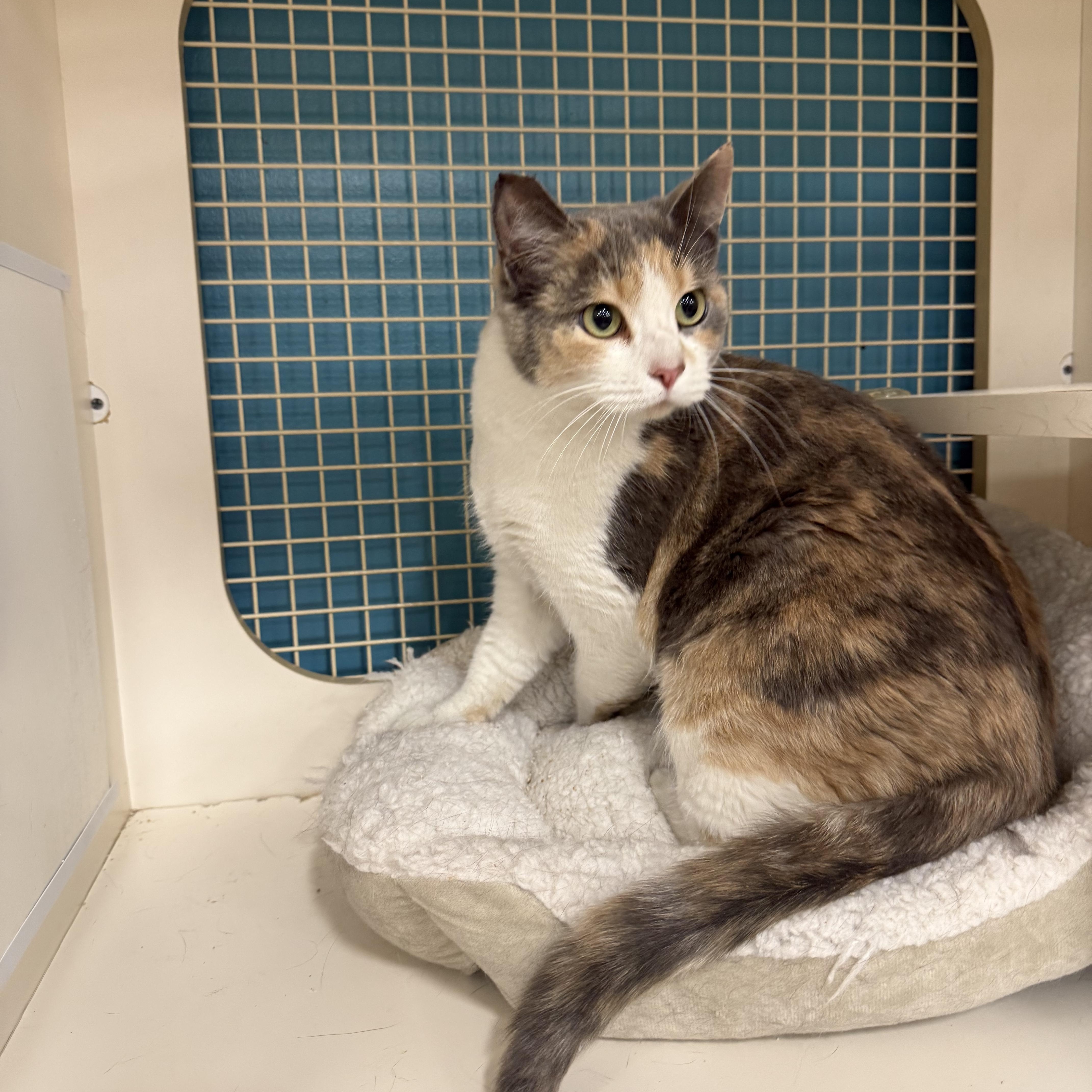 Me To You thumbnail 2