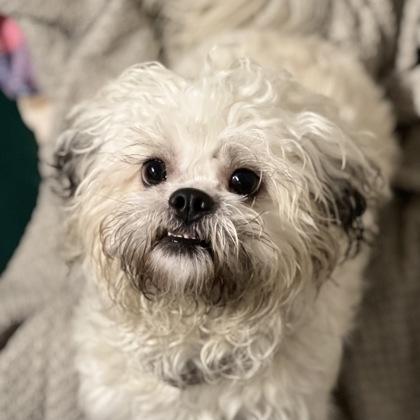 Ella