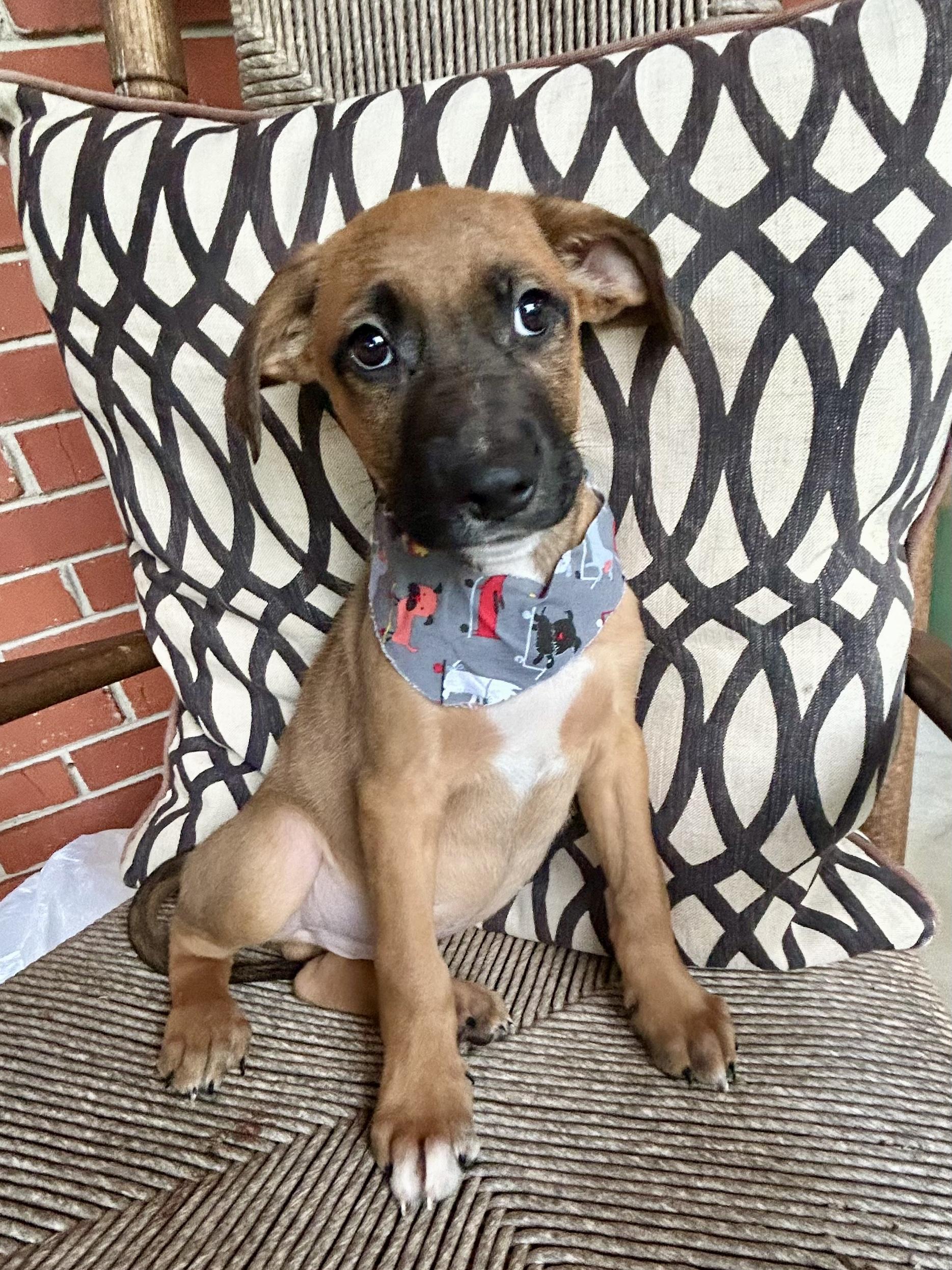 FINNIGAN photo 2
