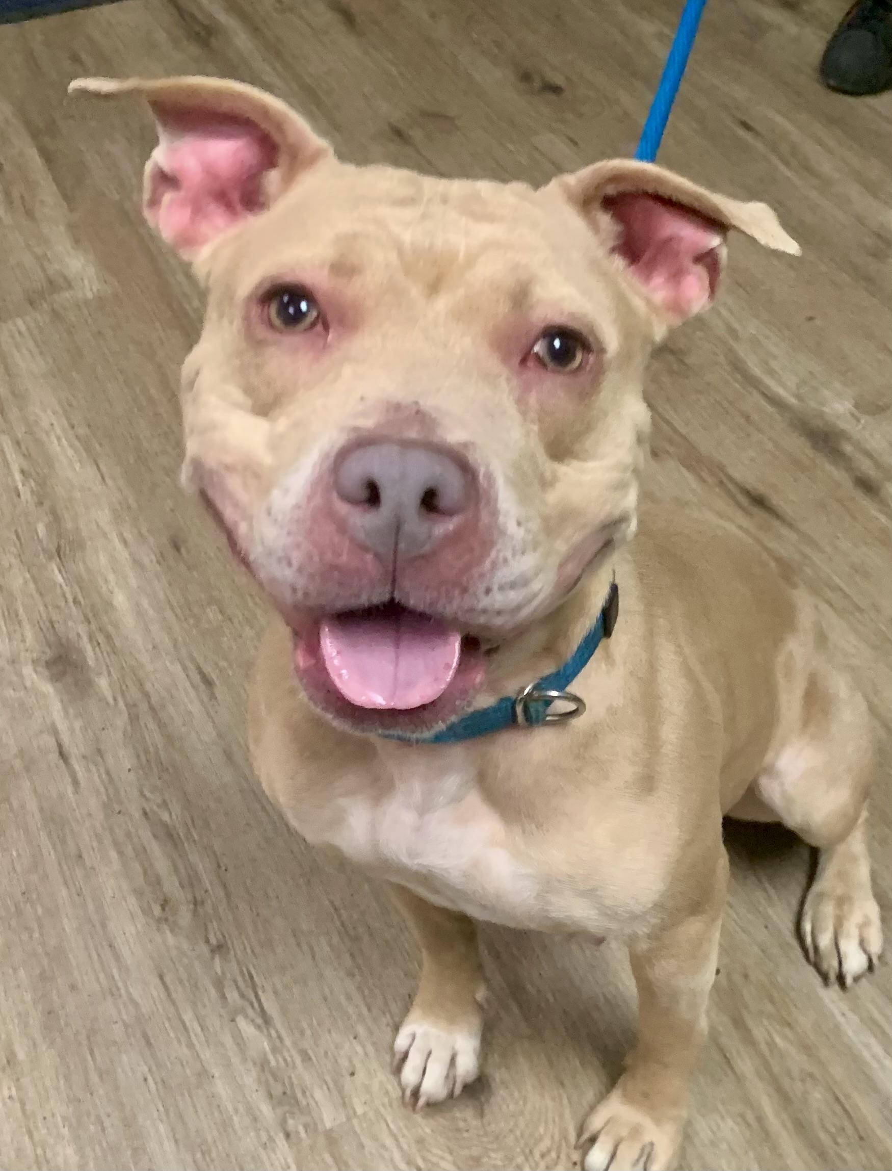 Valentina — thumbnail 3