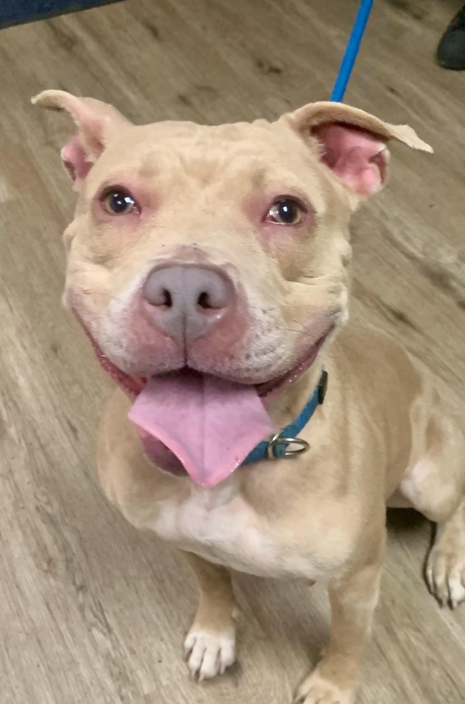 Valentina — thumbnail 5