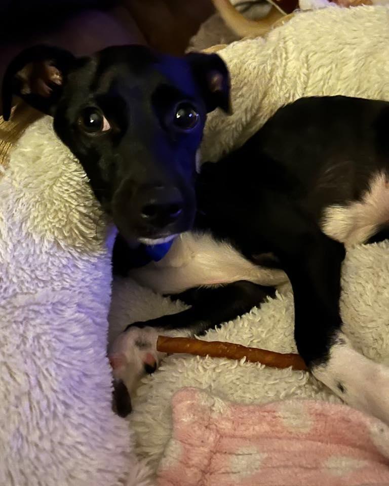 Christopher thumbnail 3