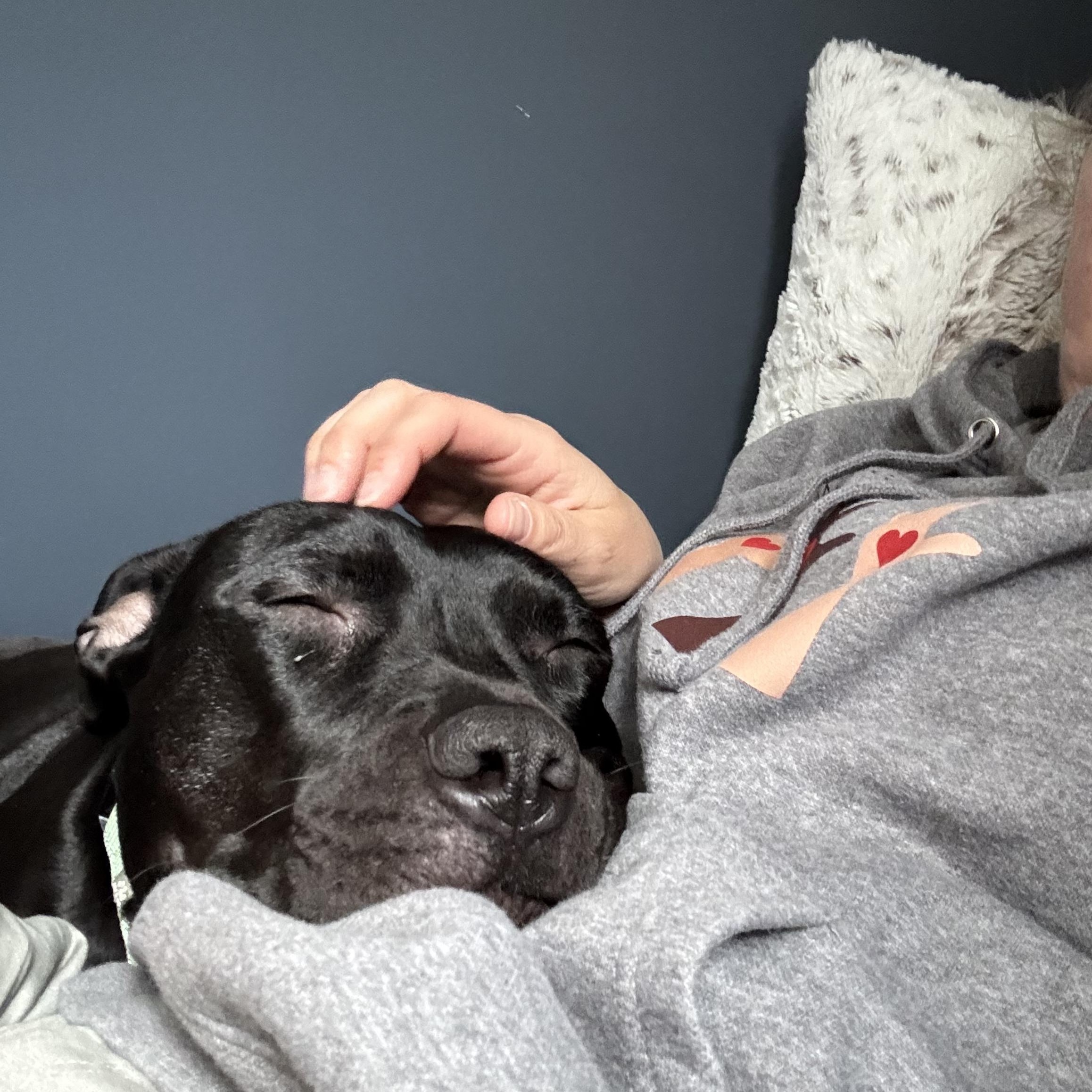 Frankie
