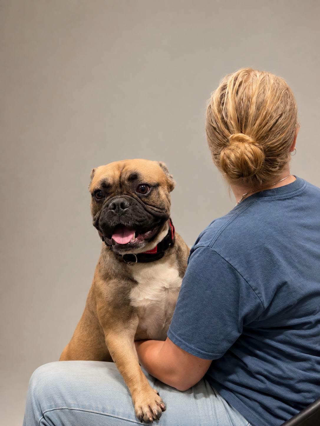 Enlarge Mugsy, a Adopted mixed breed in Cochran, GA image 3/4