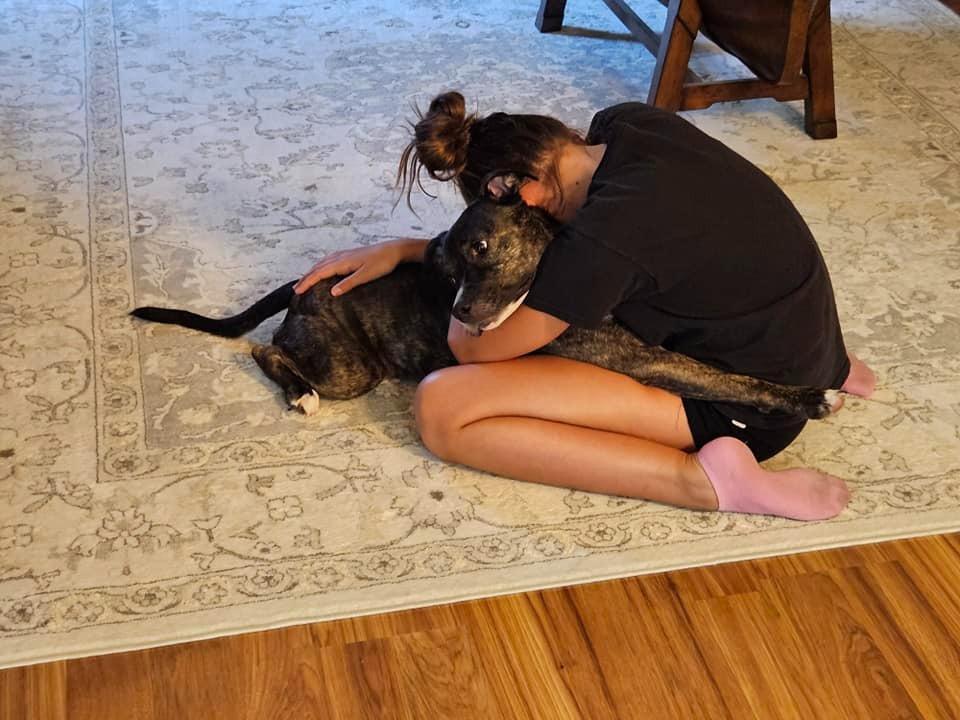 Enlarge Paris, a Adoptable mixed breed in Waxhaw, NC image 4/6