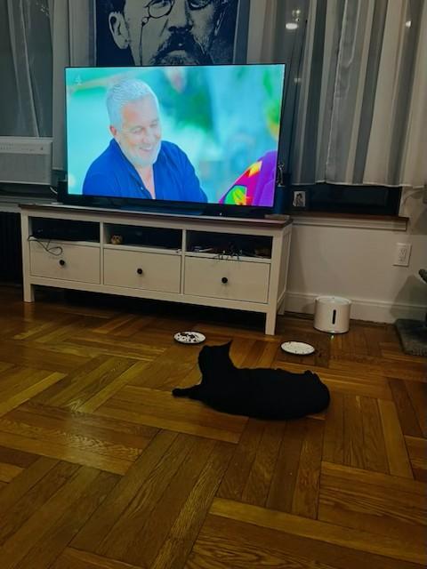 Tutulee (aka Tutu, Tuty Pie...), a Adoptable Domestic Short Hair in New York, NY image 3/6