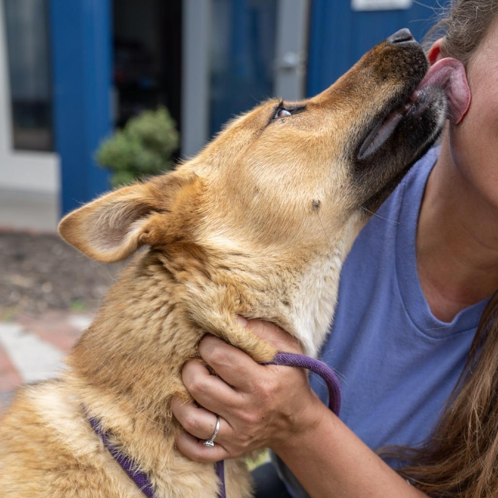Winnie, a Adoptable mixed breed in Elizabeth City, NC image 4/6