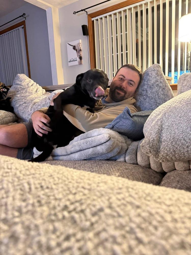 Enlarge Deuce, a Adoptable mixed breed in Irwin, PA image 4/6