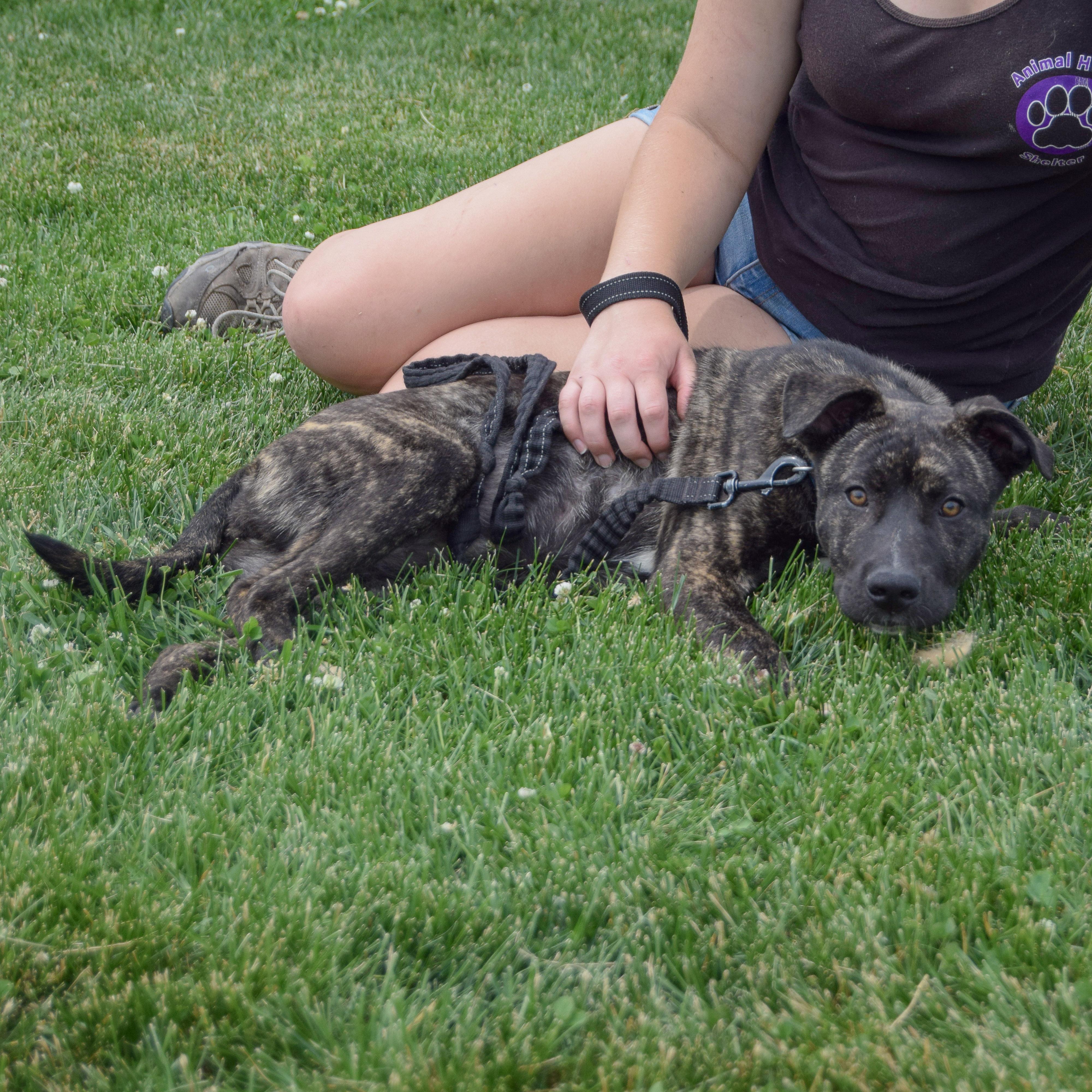 Mandy photo 5