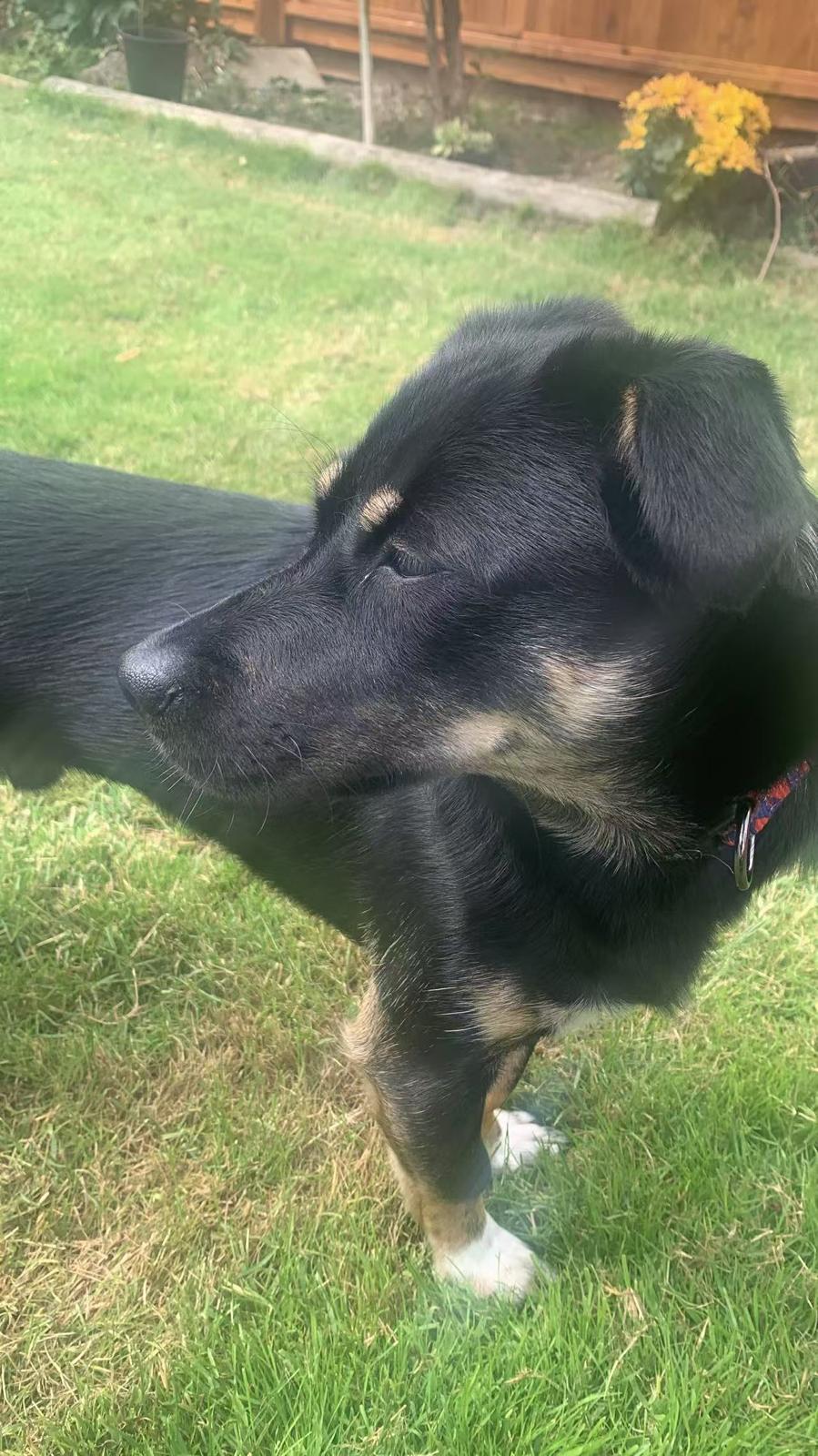 Paco
