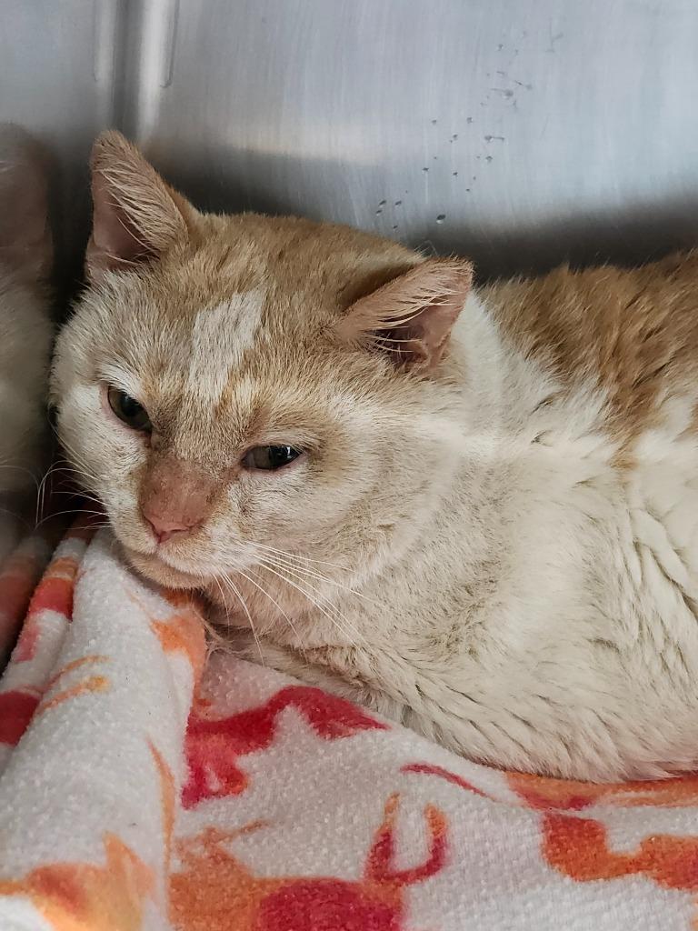 Clark Griswold thumbnail 2