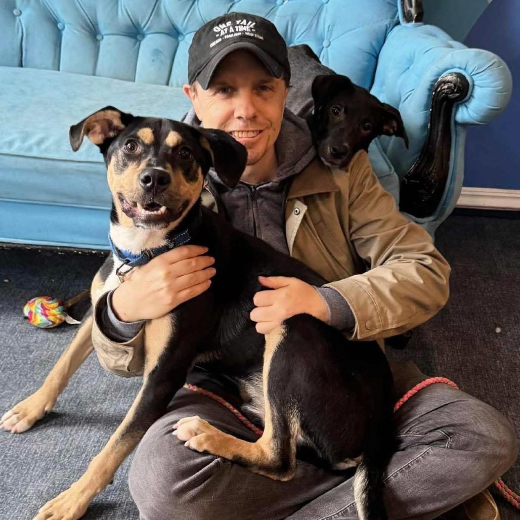 Matt, Adoptable, Young Male Mixed Breed.