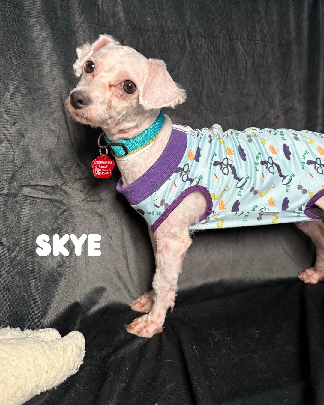 Skye