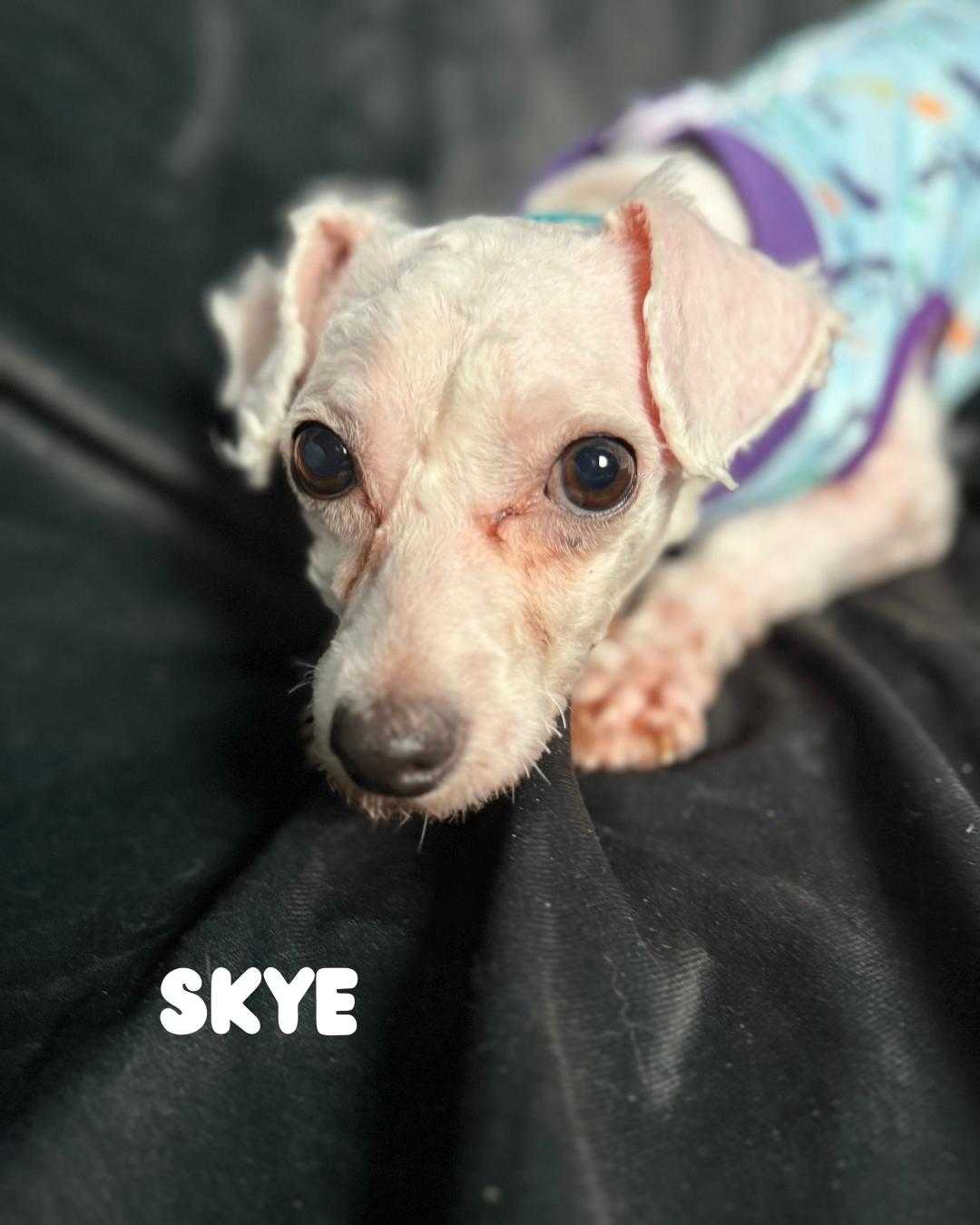 Skye