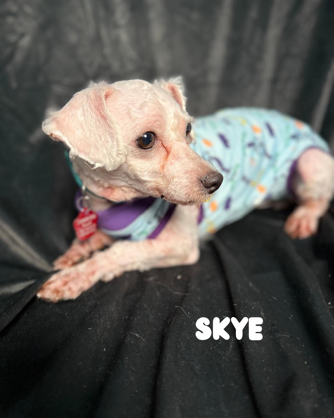 Skye