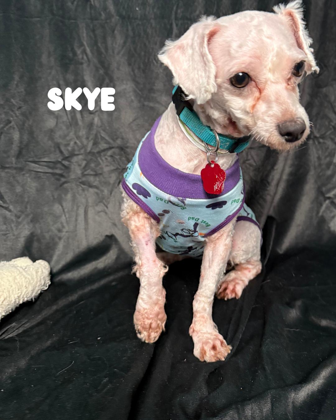 Skye