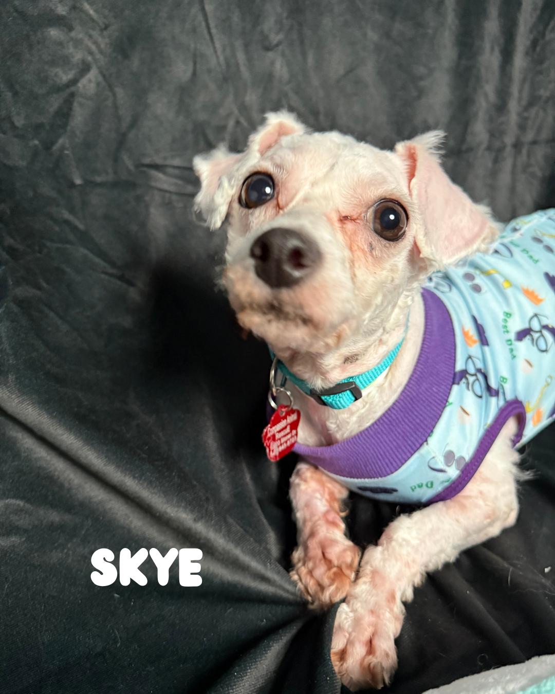 Skye