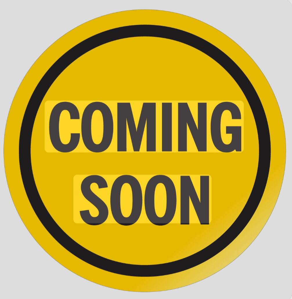 Enlarge Teddy- available soon, a Adoptable Great Pyrenees in Croydon, NH image 1/1