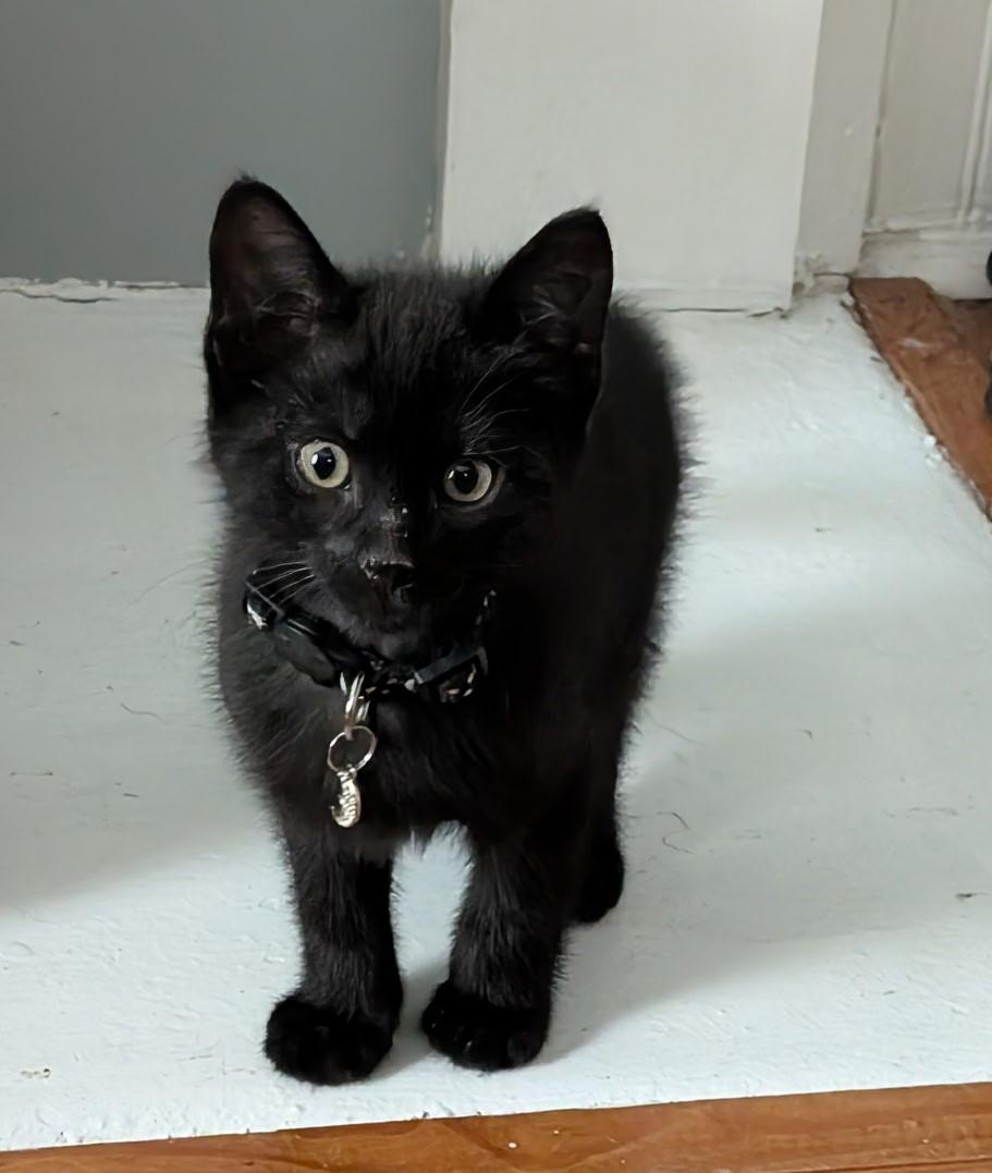 Pete