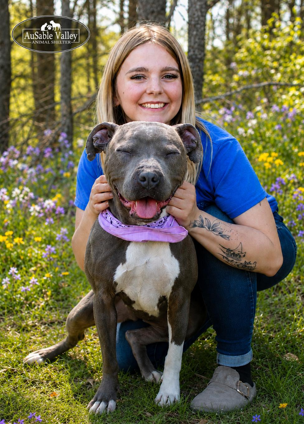 Enlarge Layla, a ADOPTABLE mixed breed in Grayling, MI image 2/6
