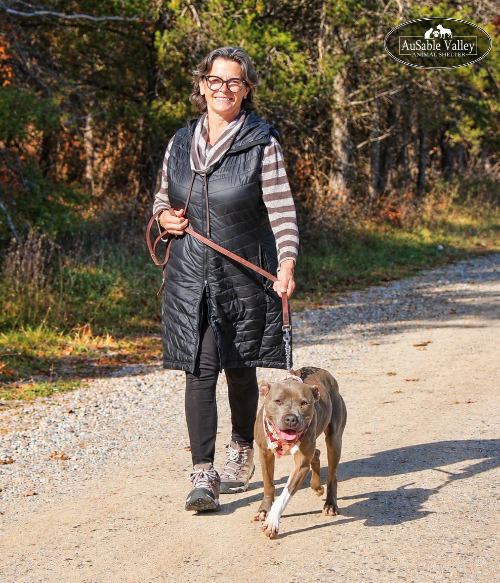 Enlarge Layla, a Adoptable mixed breed in Grayling, MI image 3/6